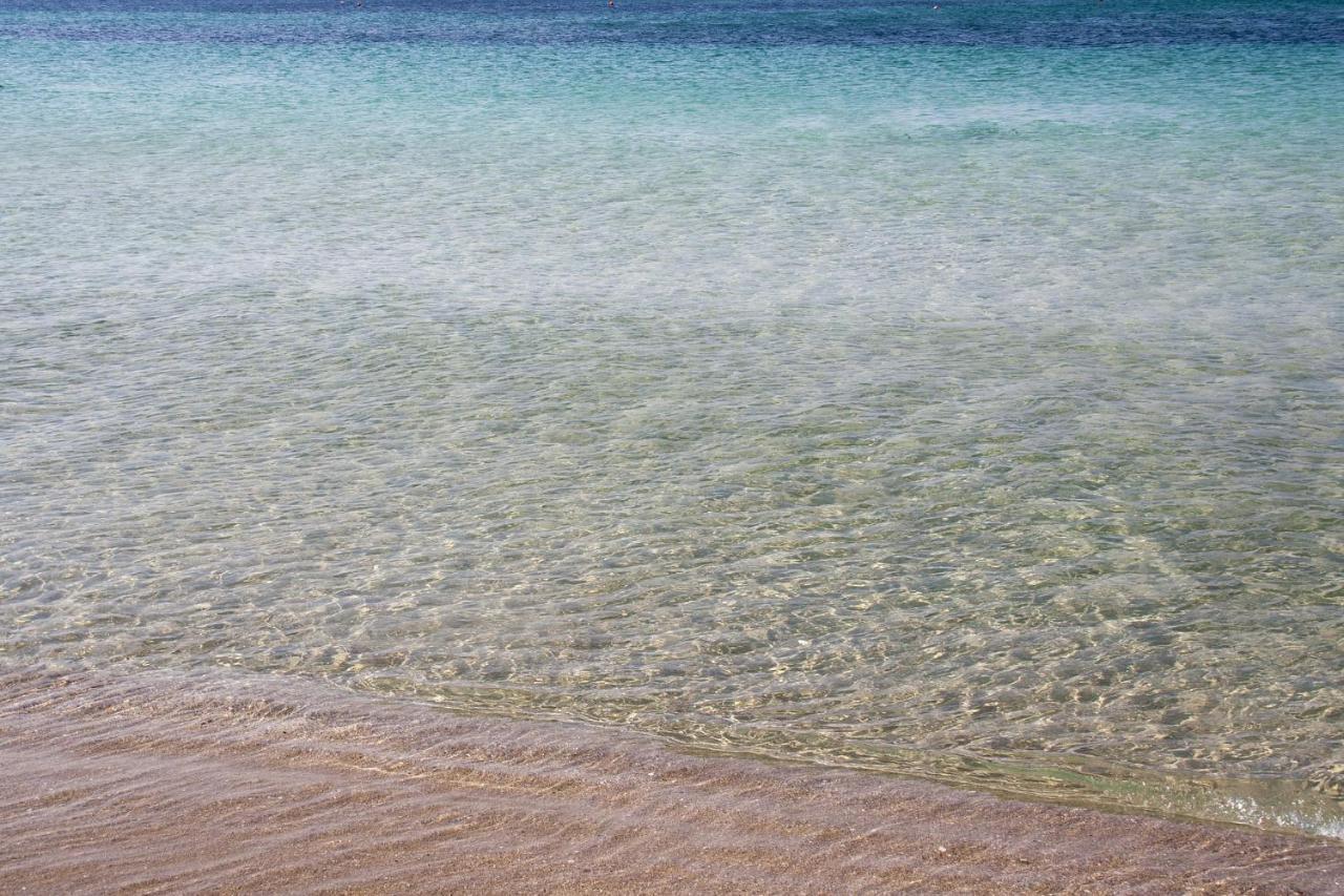 Appartamento Fronte Mare E Spiaggia Torre Mozza Exterior photo